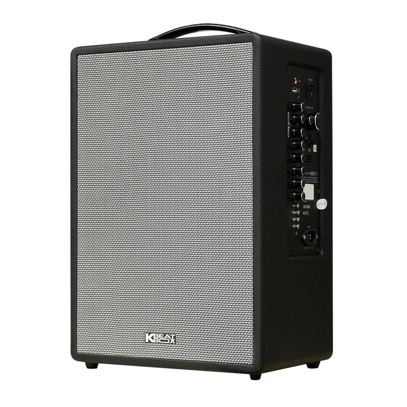 Loa Acnos CS251V, Bass 25cm, Công Suất 400W, Bluetooth, 2 Tay Micro-4