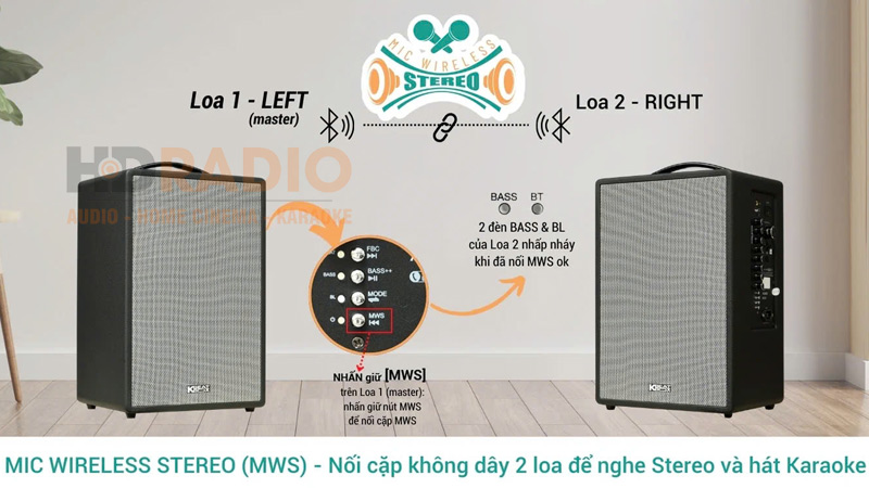 Ghép đôi Loa Acnos CS251V