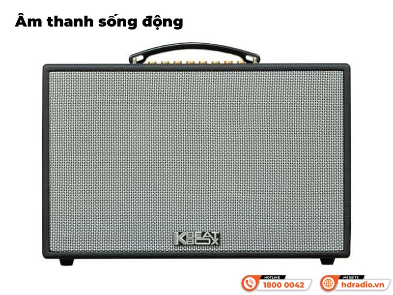 Âm thanh Loa Acnos CS261PU