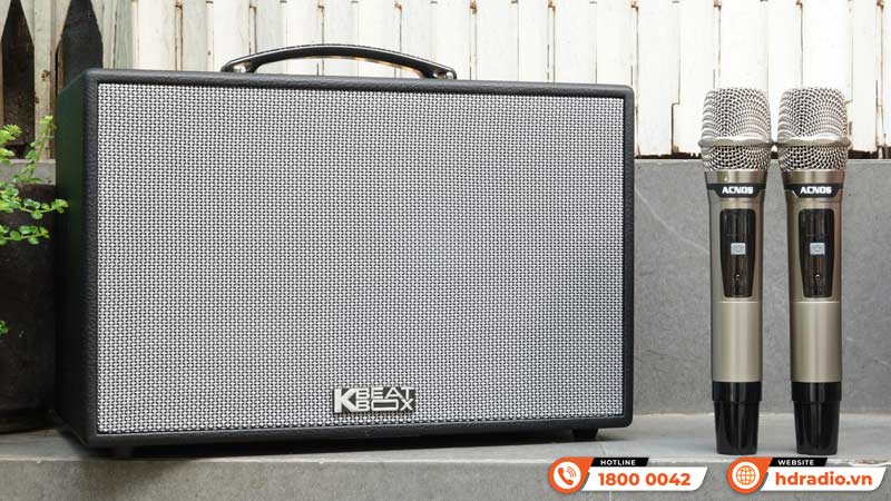 Thiết kế Loa Acnos CS261PU