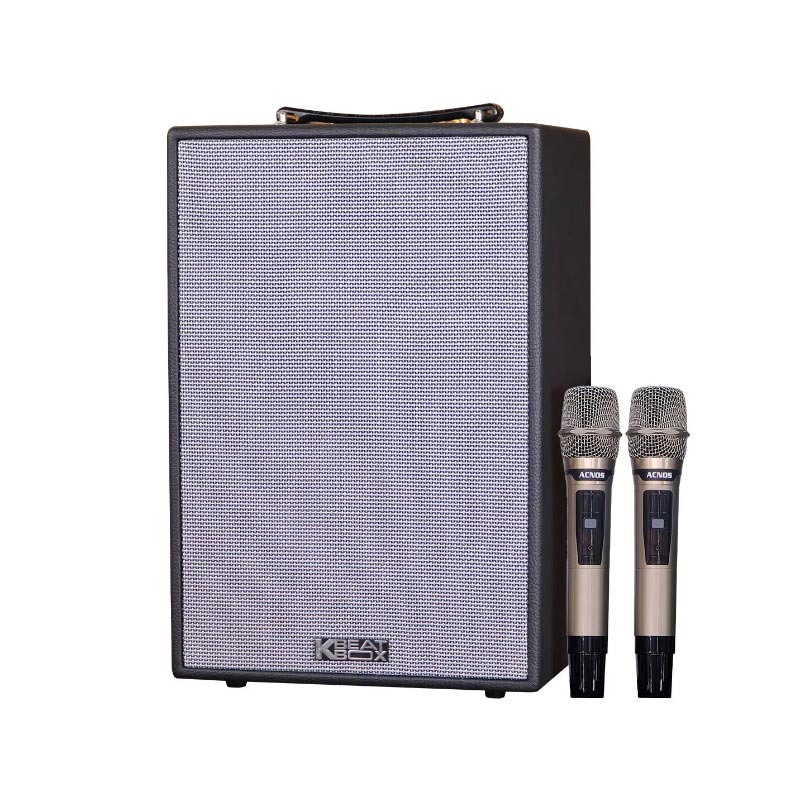 Loa Acnos CS286 Plus