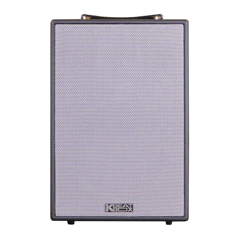 Loa Acnos CS286 Plus-2