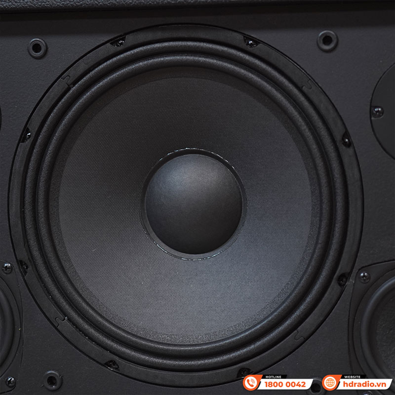 Loa Acnos CS3600 Gen 2, Bass 25cm, 200W, AUX, Optical, Kèm 2 Tay Mic-10