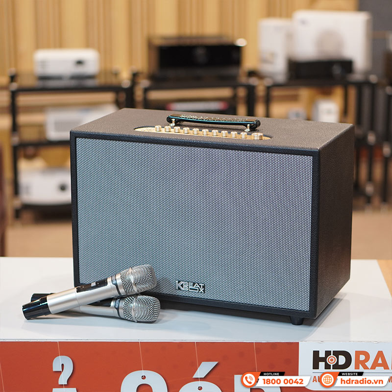 Loa Acnos CS3600 Gen 2, Bass 25cm, 200W, AUX, Optical, Kèm 2 Tay Mic-1