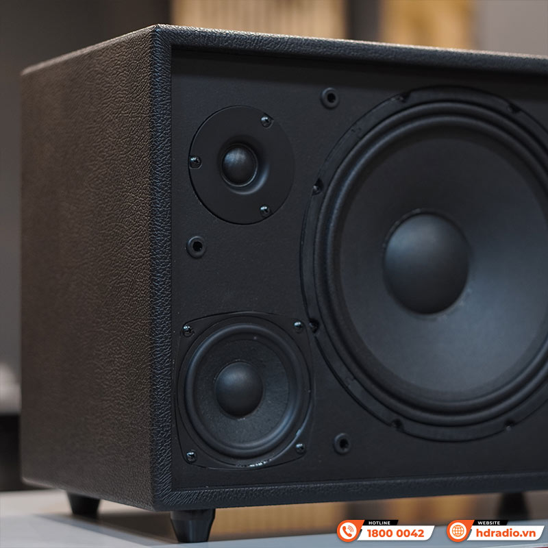 Loa Acnos CS3600 Gen 2, Bass 25cm, 200W, AUX, Optical, Kèm 2 Tay Mic-9