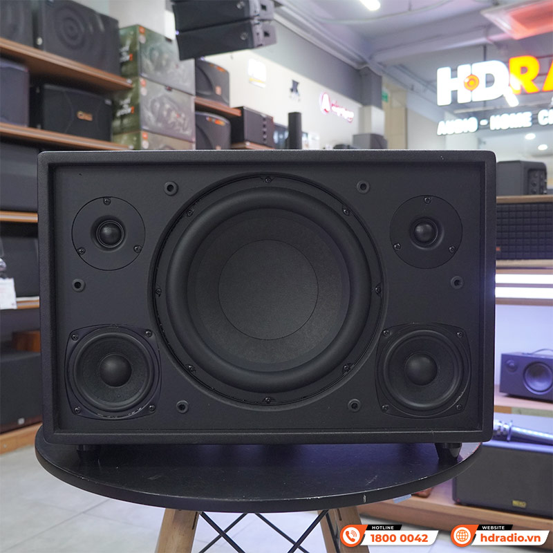 Loa Acnos CS3600Pro, Bass 25cm, 220W, AUX, Optical, Kèm 2 Tay Mic-5