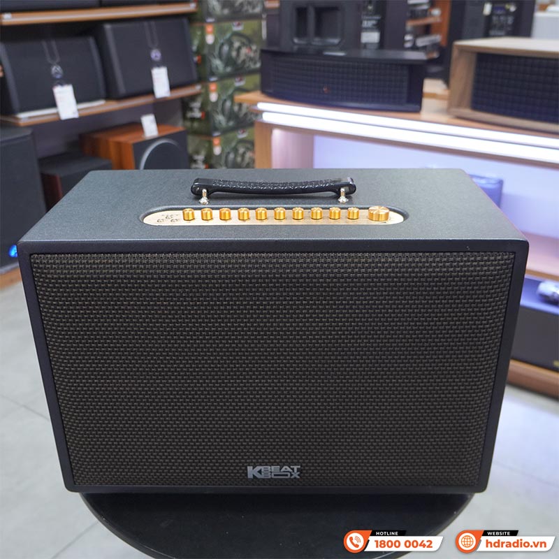 Loa Acnos CS3600Pro, Bass 25cm, 220W, AUX, Optical, Kèm 2 Tay Mic-9