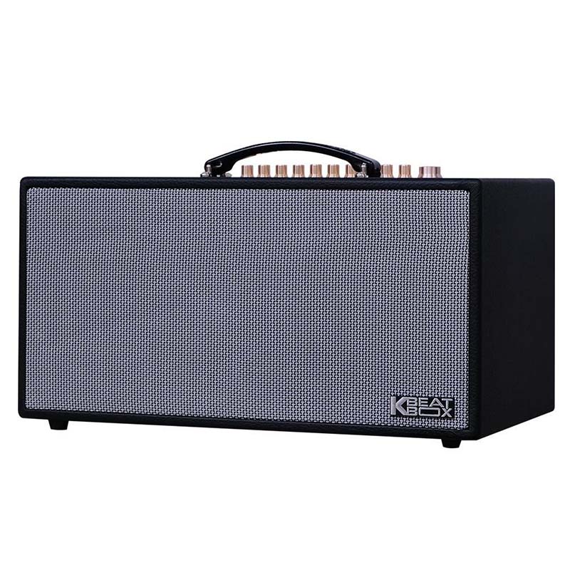 Loa Acnos CS446 Pro, Bass 16.5cm x 2, Công suất 150W RMS, Bluetooth 5.0, Mic Wireless Stereo, Kèm 2 MIC-2