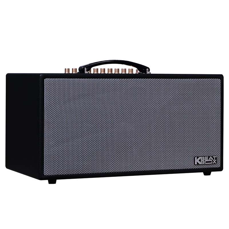 Loa Acnos CS446 Pro, Bass 16.5cm x 2, Công suất 150W RMS, Bluetooth 5.0, Mic Wireless Stereo, Kèm 2 MIC-3
