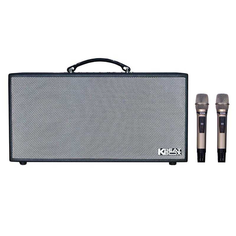 Loa Acnos CS446 Pro, Bass 16.5cm x 2, Công suất 150W RMS, Bluetooth 5.0, Mic Wireless Stereo, Kèm 2 MIC