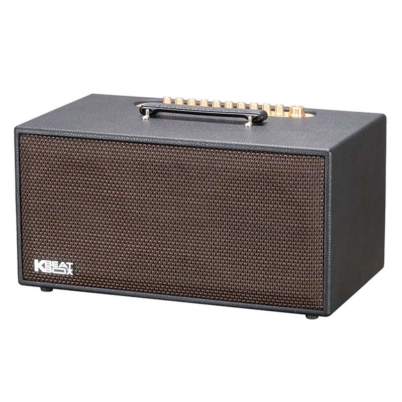 Loa Acnos CS449, Bass 16.5cm x2, Công suất 150W RMS, Mic Wireless Stereo, Bluetooth 5.0, Kèm 2 MIC-3