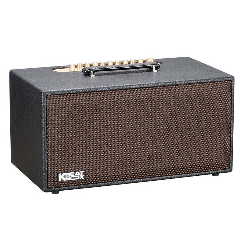 Loa Acnos CS449, Bass 16.5cm x2, Công suất 150W RMS, Mic Wireless Stereo, Bluetooth 5.0, Kèm 2 MIC-4