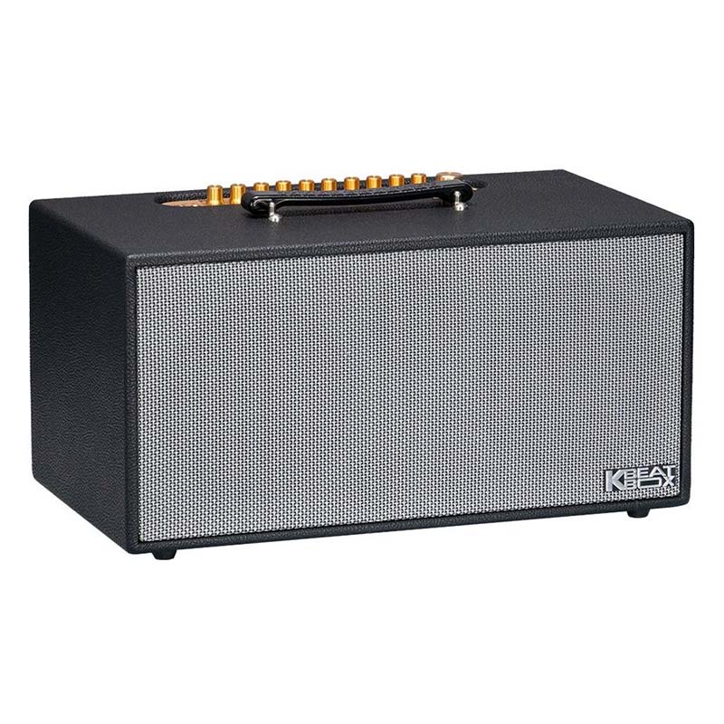 Loa Acnos CS450 Pro, Bass 16.5cm x2, Công suất 150W RMS, Mic Wireless Stereo, Bluetooth 5.0, Kèm 2 MIC-3