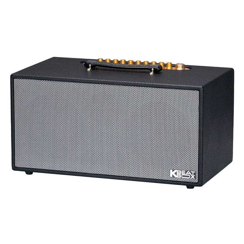 Loa Acnos CS450 Pro, Bass 16.5cm x2, Công suất 150W RMS, Mic Wireless Stereo, Bluetooth 5.0, Kèm 2 MIC-4