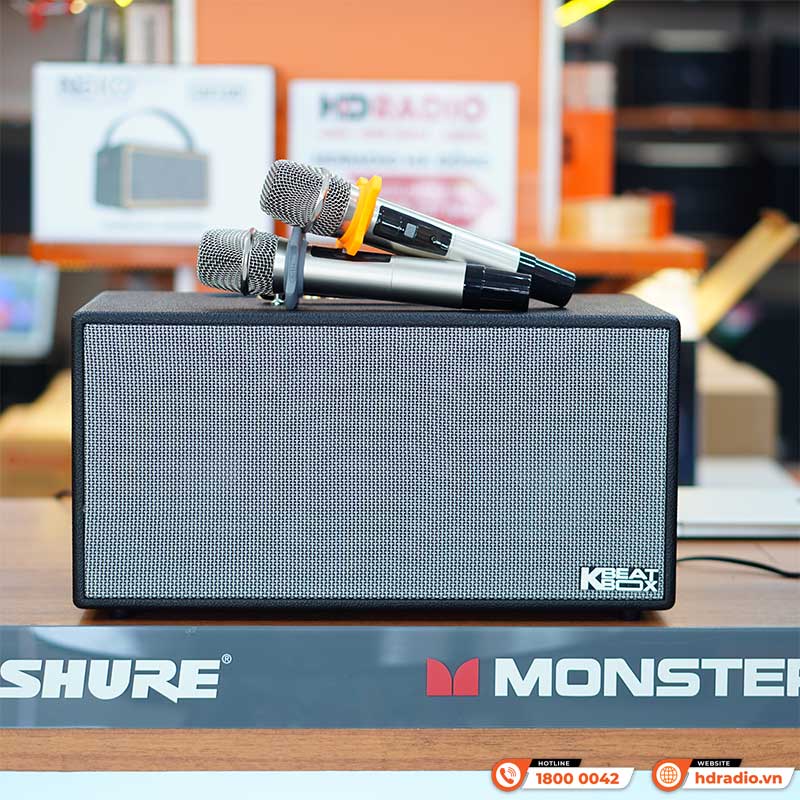 Loa Acnos CS450Neo-4