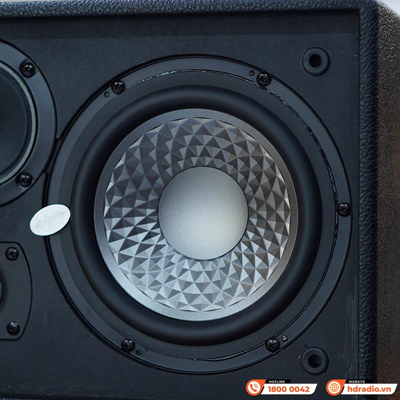 Loa Acnos CS450Neo-17