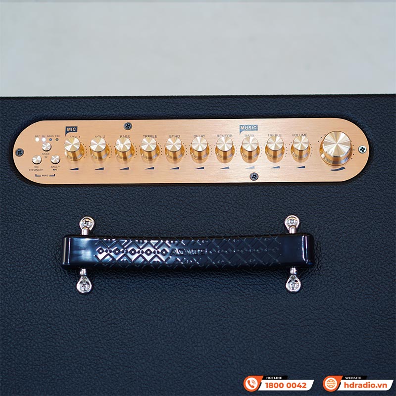 Loa Acnos CS450Neo-12