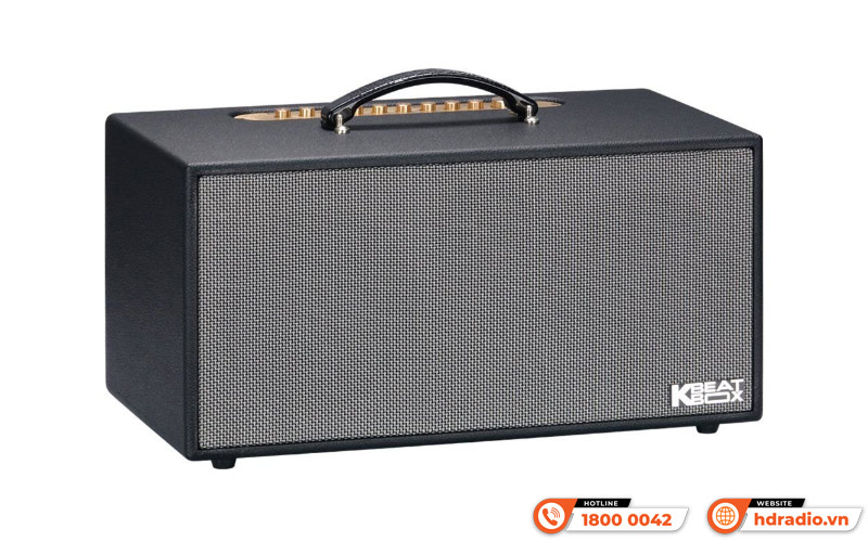 Loa Acnos CS450SRV Plus