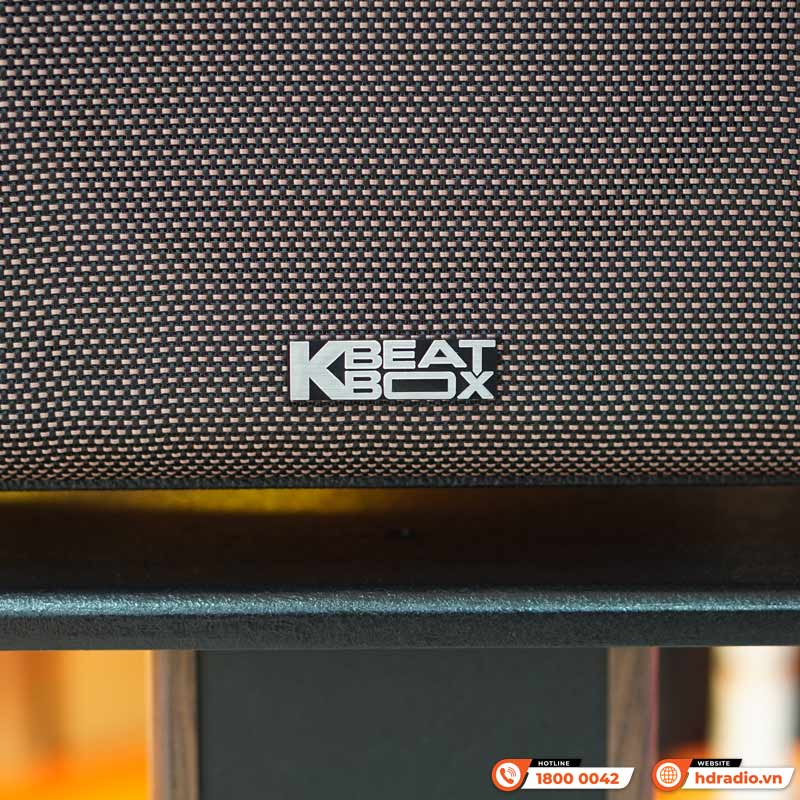 Loa Acnos Harmony, Bass 25cm, Có Quai Xách, Công suất 220W, Pin 10H có thể tháo rời, DSP mới, Bluetooth 5.0, 2 Mic UHF, Màu Đẹp-4