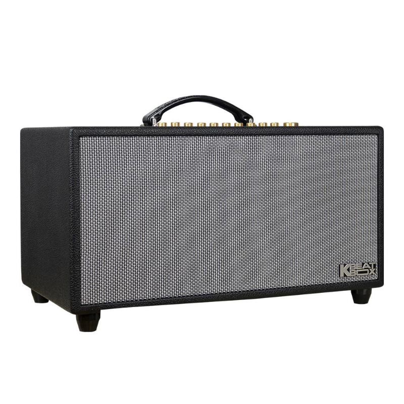 Loa Acnos Hi450, Bass 16cm, Công suất 200W, Bluetootth, USB, Mic Wireless Stereo, 2 Micro-2