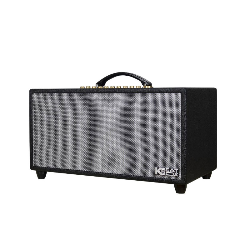 Loa Acnos Hi450, Bass 16cm, Công suất 200W, Bluetootth, USB, Mic Wireless Stereo, 2 Micro-4