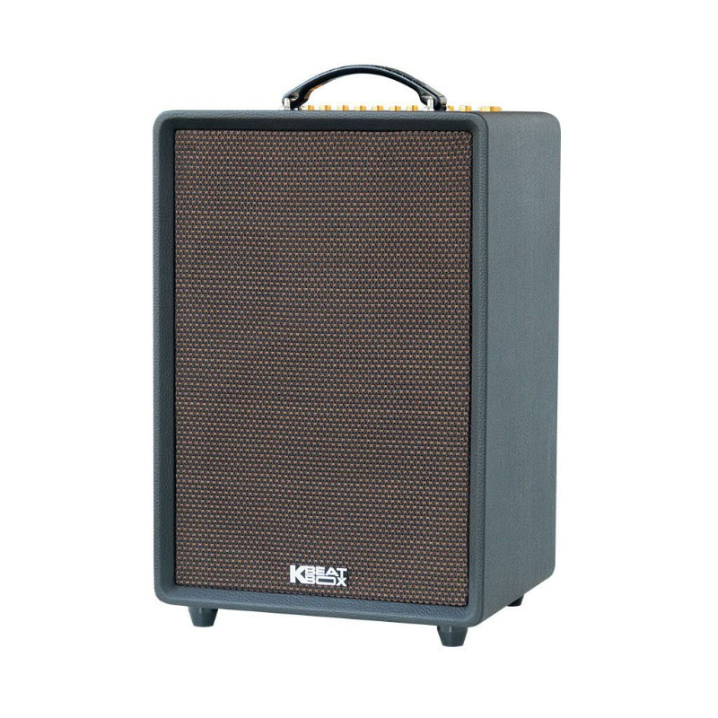 Loa Acnos High Fidelity Pro, Bass 25cm, Công suất 220W, Bluetooth 5.0, Kèm 2 mic-3