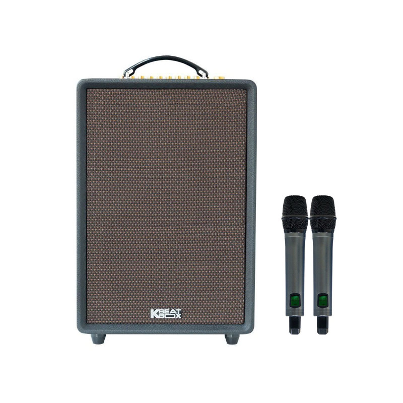 Loa Acnos High Fidelity Pro, Bass 25cm, Công suất 220W, Bluetooth 5.0, Kèm 2 mic
