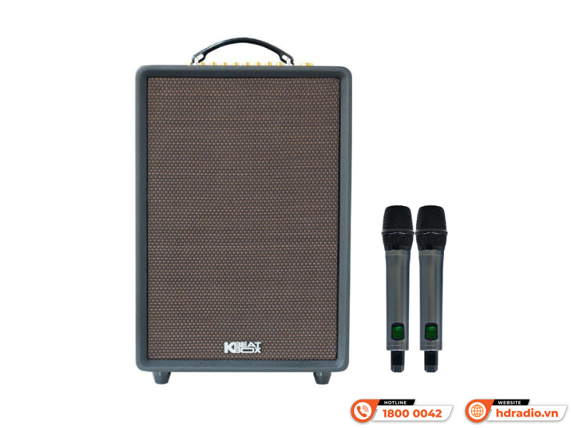 Loa Acnos High Fidelity Pro