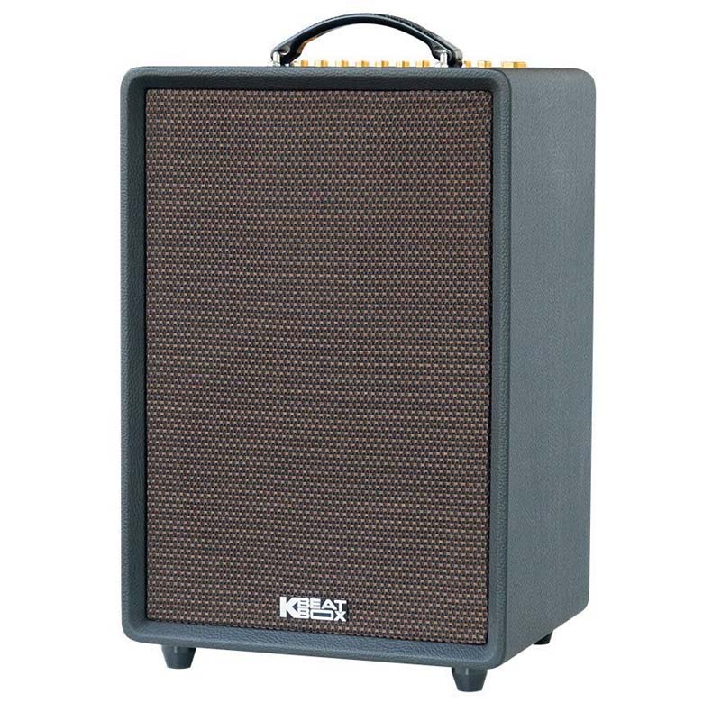 Loa Acnos High Fidelity (Bass 25 cm, 200W, Bluetooth 5.0, Kèm 2 MIC UHF)-2