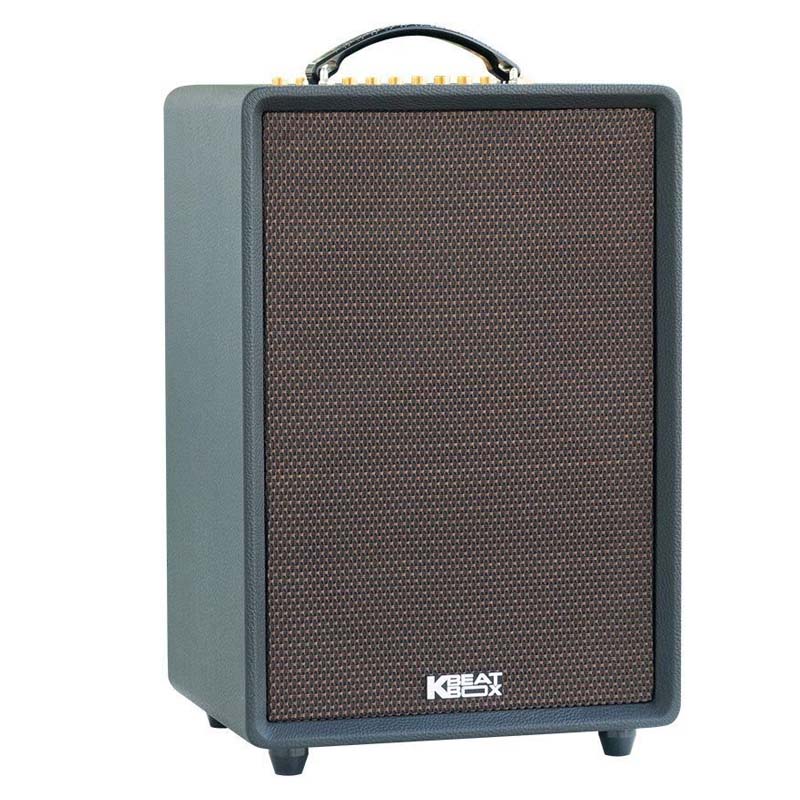 Loa Acnos High Fidelity (Bass 25 cm, 200W, Bluetooth 5.0, Kèm 2 MIC UHF)-3