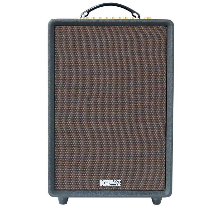 Loa Acnos High Fidelity (Bass 25 cm, 200W, Bluetooth 5.0, Kèm 2 MIC UHF)-1