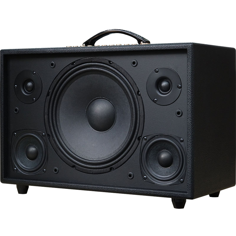 Loa Acnos Hinet 3600 Gen 2-2