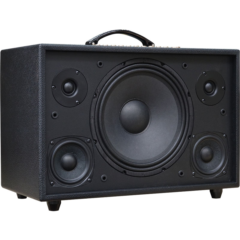 Loa Acnos Hinet 3600 Gen 2-3