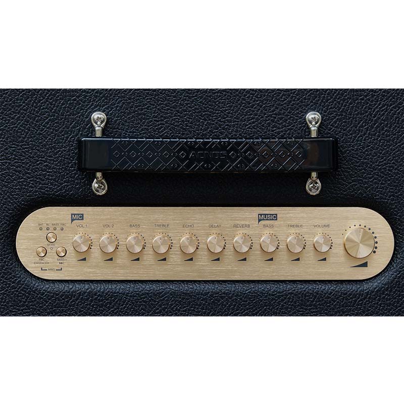 Loa Acnos Hinet 3600 Gen 2-5