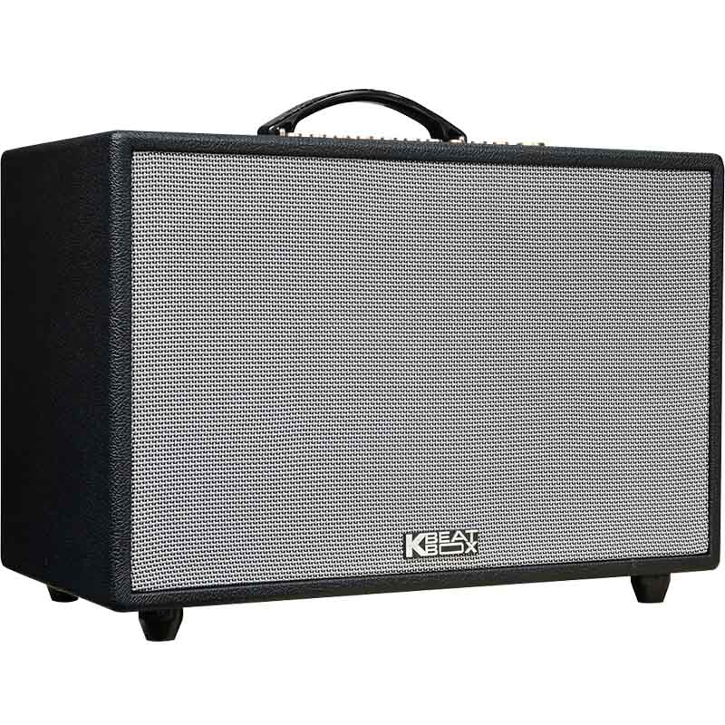 Loa Acnos Hinet 3600 Gen 2-4