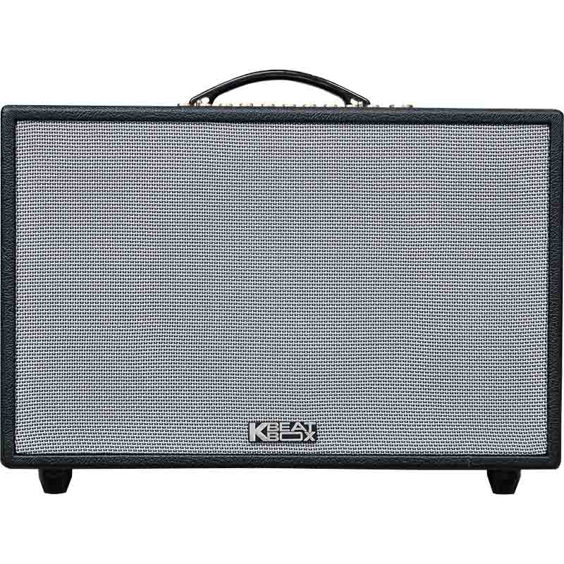 Loa Acnos Hinet 3600 Gen 2-1