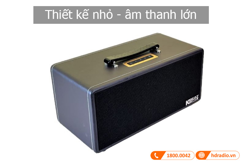 Am thanh loa KS362D