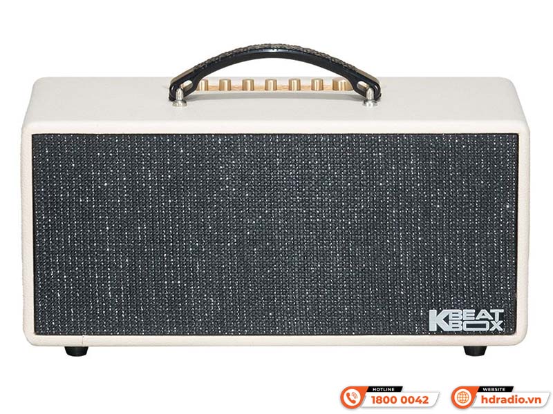 Loa Acnos KS369 Plus