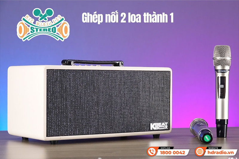 Loa Acnos KS369 Plus