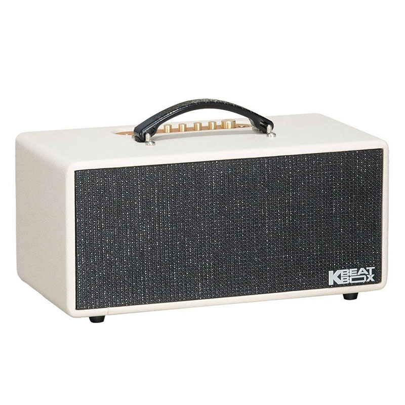 Loa Acnos KS369 Plus, Bass 14cm x 2, Công suất 150W, Bluetooth 5.0, USB OTG LIVE, OPTICAL, Kèm 2 Mic-4