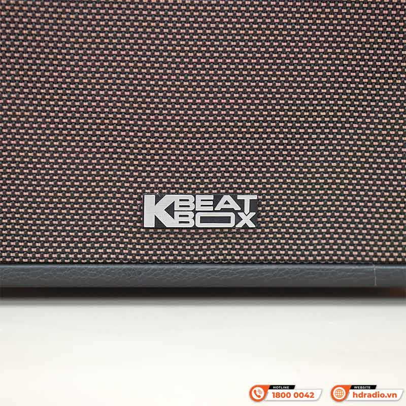 Loa Acnos Symphony, Bass 25cm, Công suất 70W, Bluetooth 5.0, USB, LINE IN, Guitar-3