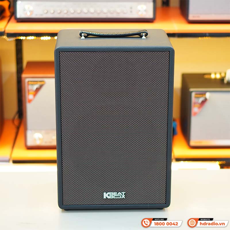 Loa Acnos Symphony, Bass 25cm, Công suất 70W, Bluetooth 5.0, USB, LINE IN, Guitar-5