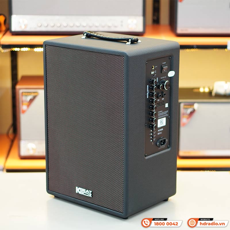 Loa Acnos Symphony, Bass 25cm, Công suất 70W, Bluetooth 5.0, USB, LINE IN, Guitar-6