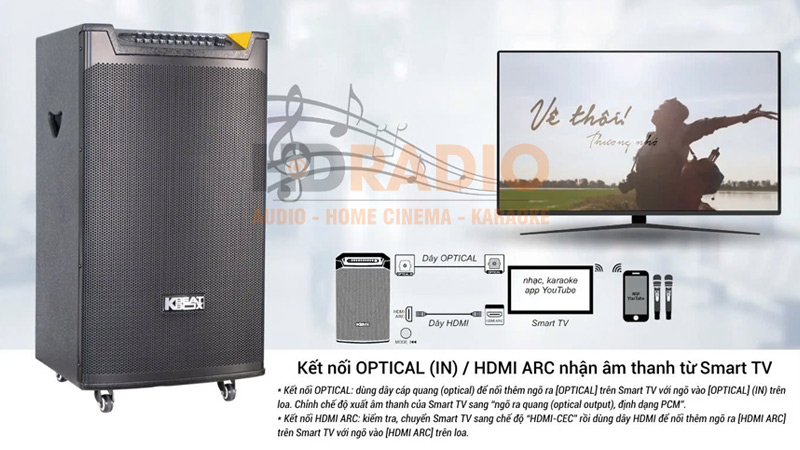 Kết nối Loa Acnos TOP 430
