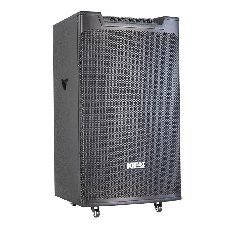 Loa Acnos Top 530, Bass 50cm, Công Suất 300W, Bluetooth, 2 Tay Micro-3