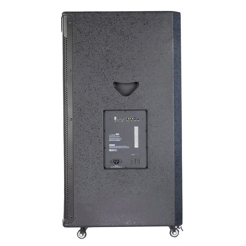 Loa Acnos Top 530, Bass 50cm, Công Suất 300W, Bluetooth, 2 Tay Micro-5