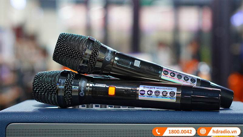 đi kèm 2 micro không dây