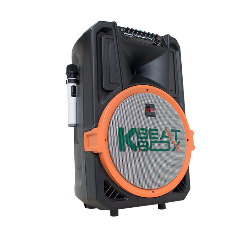 Loa kéo acnos KB39S