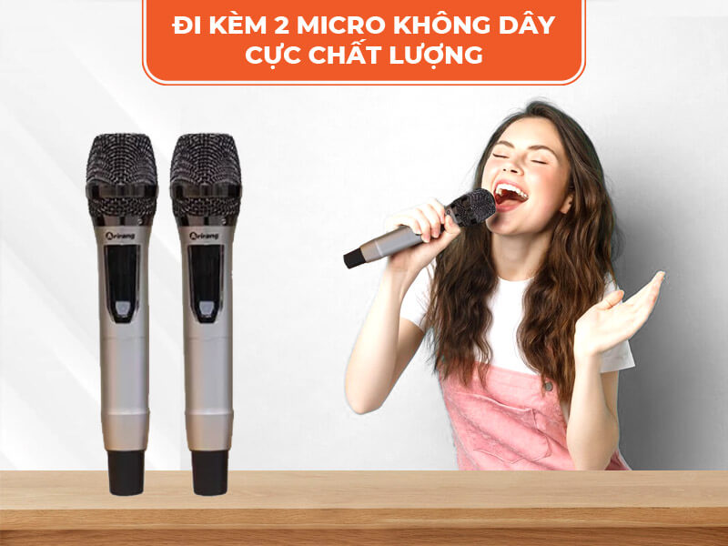 Hai tay mic không dây đi kèm
