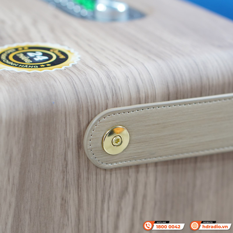 Loa Arirang MB2iw, Bass 20cm, Công suất 300W, Pin LiFePo4, Bluetooth 5.0, Livestream-11